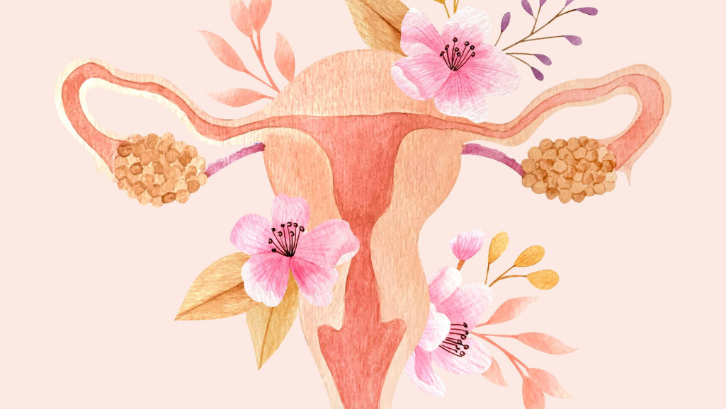 Female reproductive system with flowers – Ecsta Care